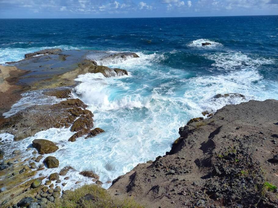 Entre Foret Et Mer Gros-Morne Экстерьер фото